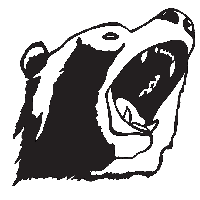 Ours (copie)