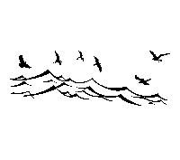 Mer