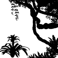Jungle SF