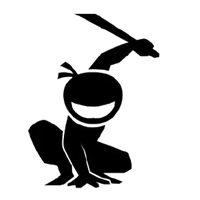 Ninja fight